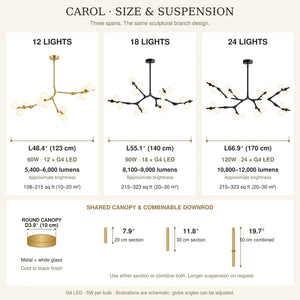 Carol Branch Bubble chandelier Modern Chandelier